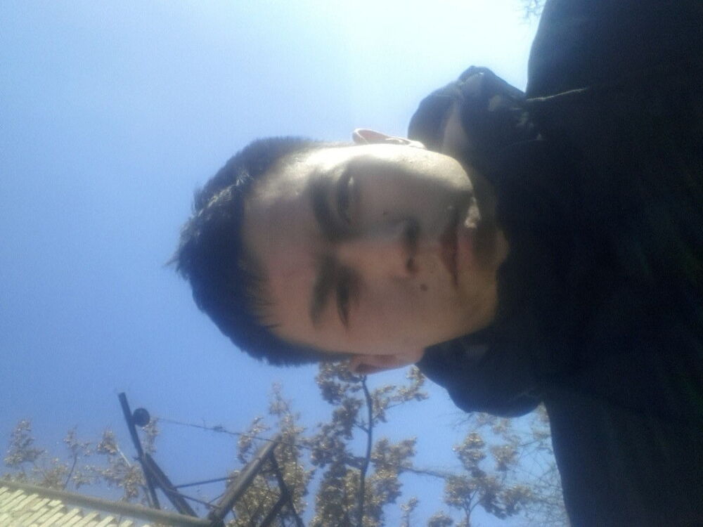 ���� 11105554 ������� ������, 31 ���, ���� ���������� � �������