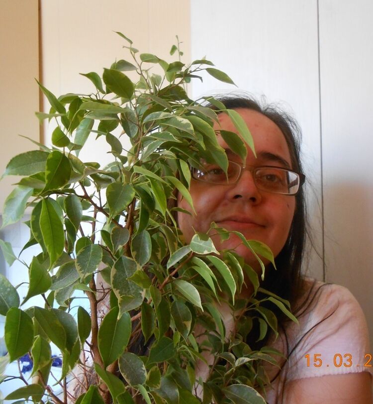 ���� 55995414 ������� �����, 35 ���, ���� ���������� � �������������