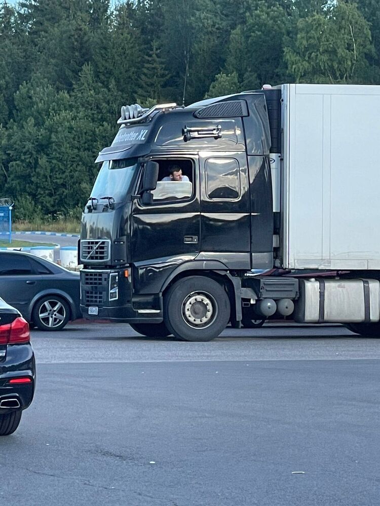 ���� 31413644 ������� �����, 36 ���, ���� ���������� � ������