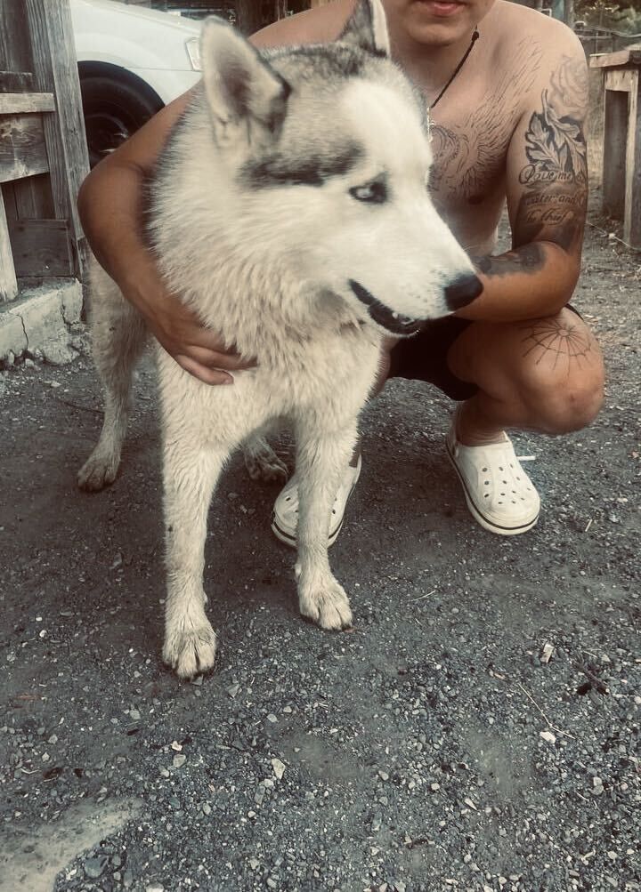 ,   , 27 ,   c 