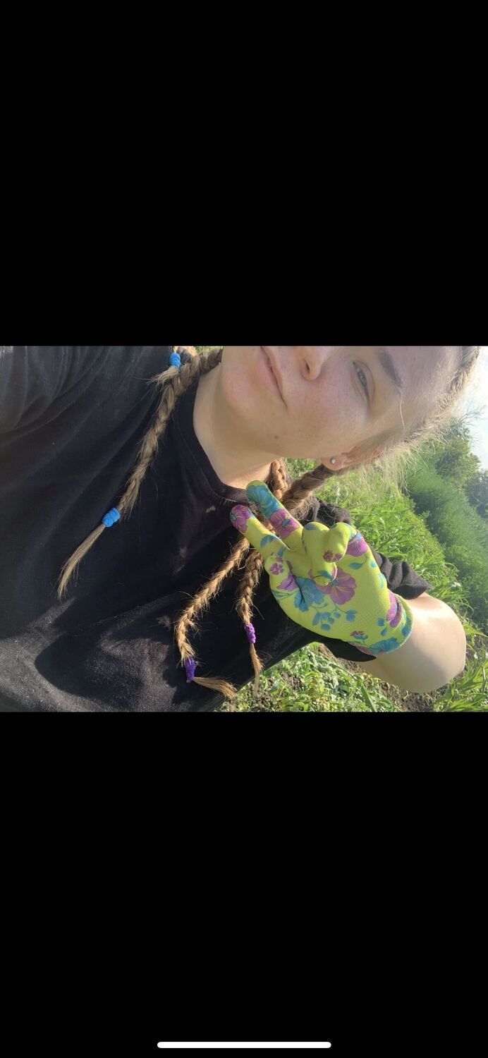  --,   , 25 ,   