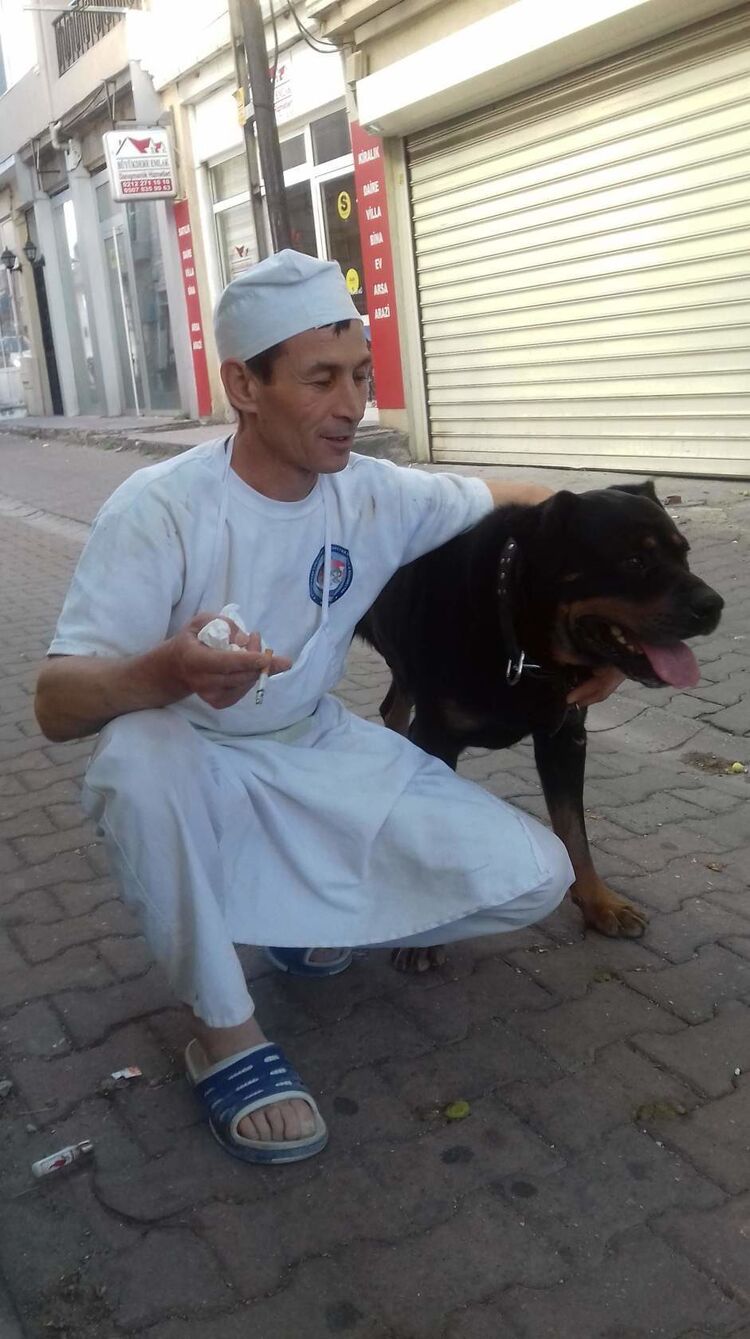 ���������� ������, ���� ������� �����, 49 ���, ������������ ��� ������, ����� � ���������