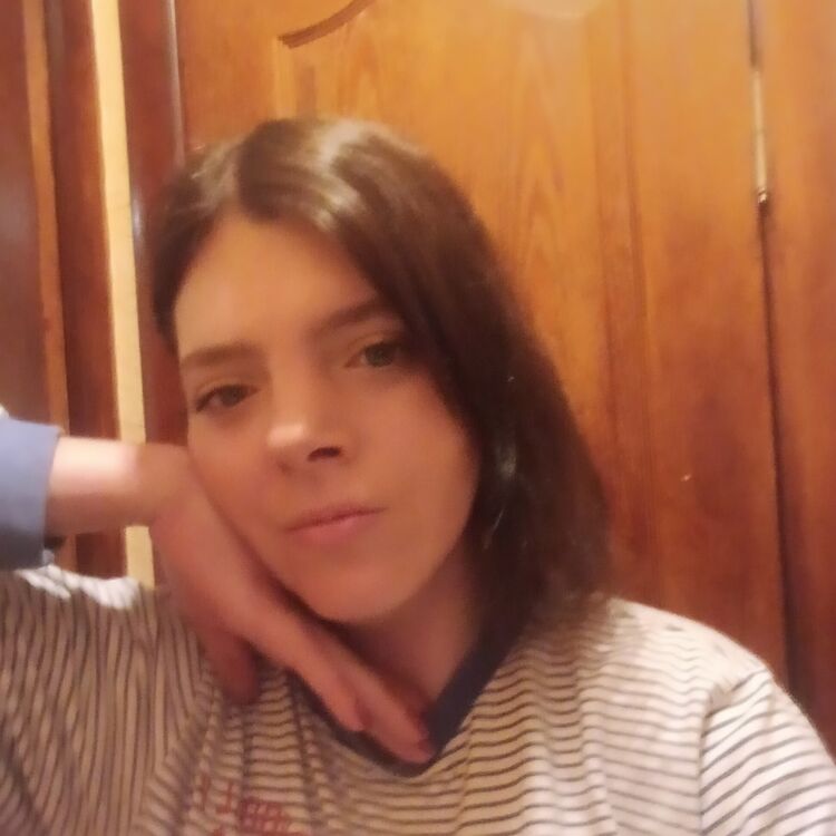  42648034  , 33 ,    