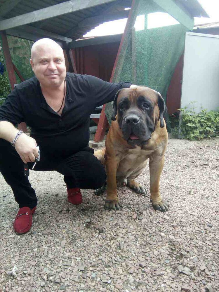 ���� 55685204 ������� �����, 47 ���, ���� ���������� � �����