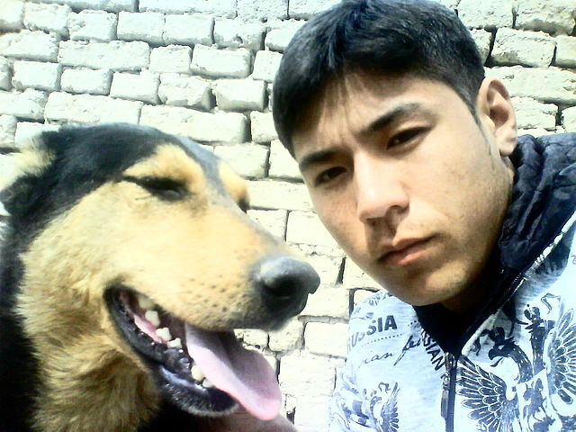  33284644  Elyorbek, 36 ,    