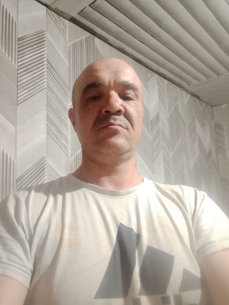  48202674  , 46 ,    