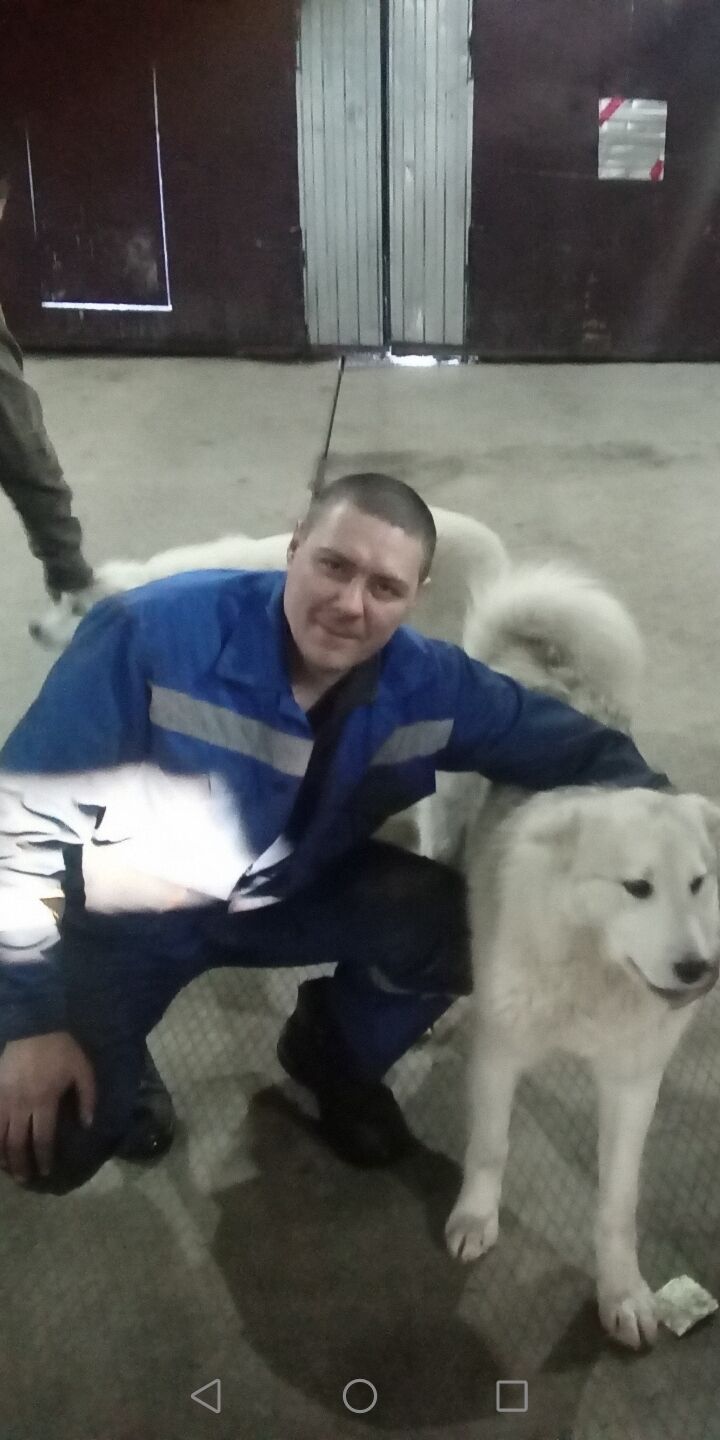 ���� 55878234 ������� ������, 42 ����, ���� ���������� � �������