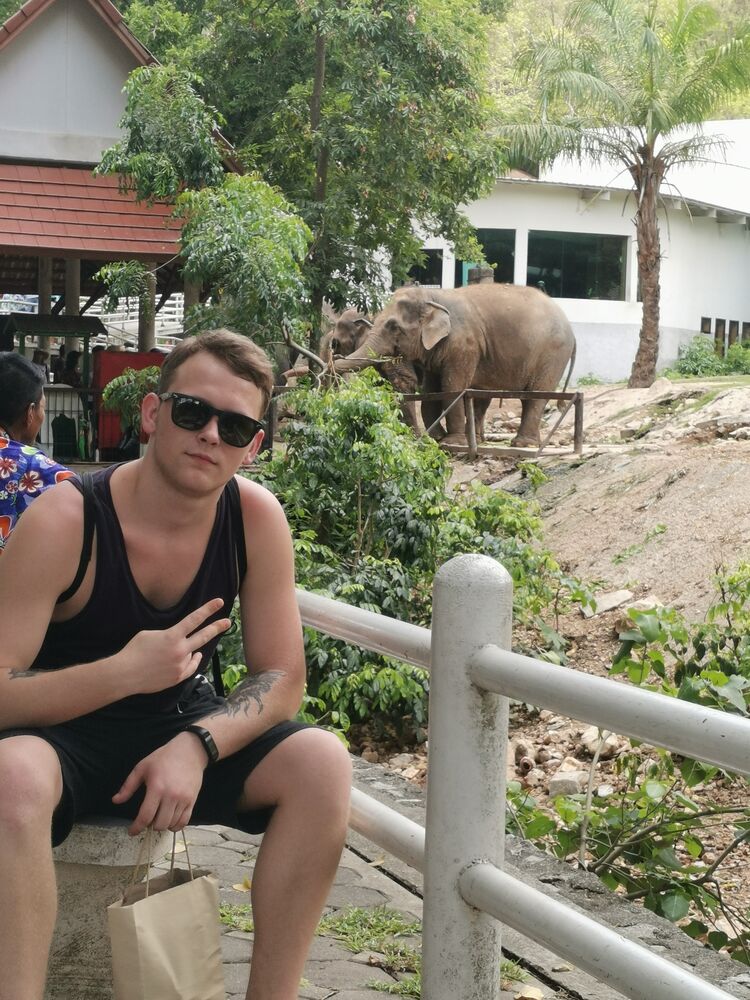 ���������� ������, ���� ������� ���������, 29 ���, ������������ ��� ������, ����� � ���������, c�������� ���������, ���������