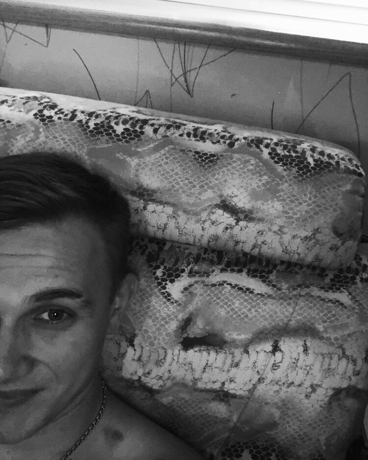 ���� 37858574 ������� ��������, 30 ���, ���� ���������� � �����������