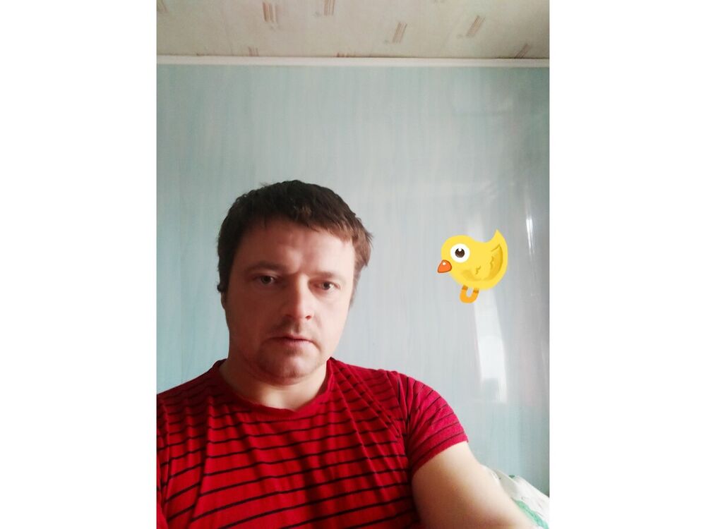  20252294  , 40 ,    