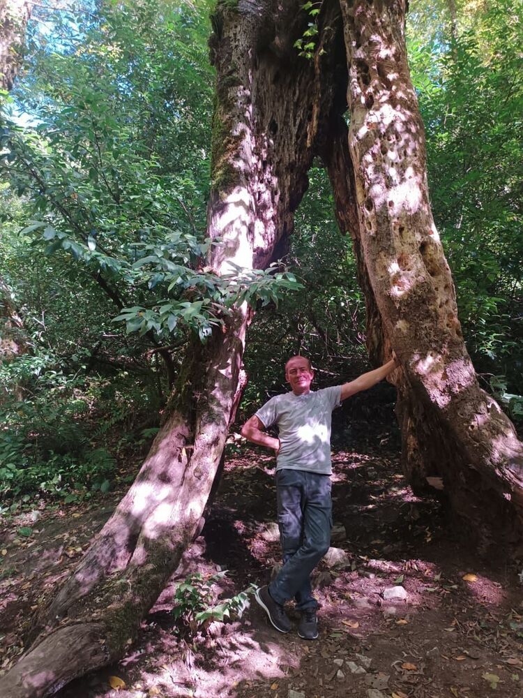 ���������� �������, ���� ������� ��������, 43 ����, ������������ ��� ����� � ���������, c�������� ���������, ���������