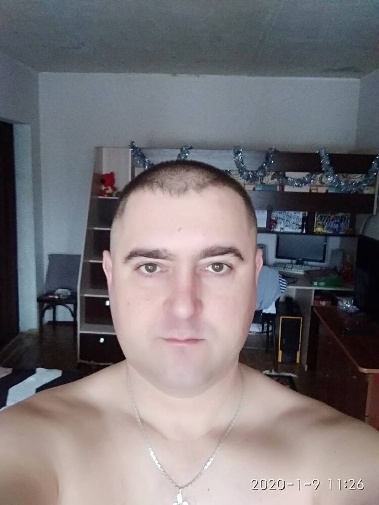  23370414  , 43 ,    