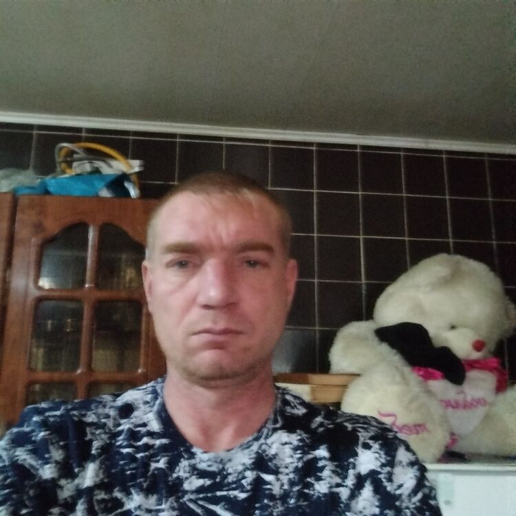  43266364  , 39 ,    