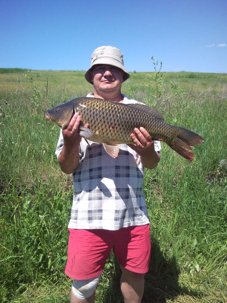 ���� 4773514 ������� Andron2305, 55 ���, ���� ���������� � �����