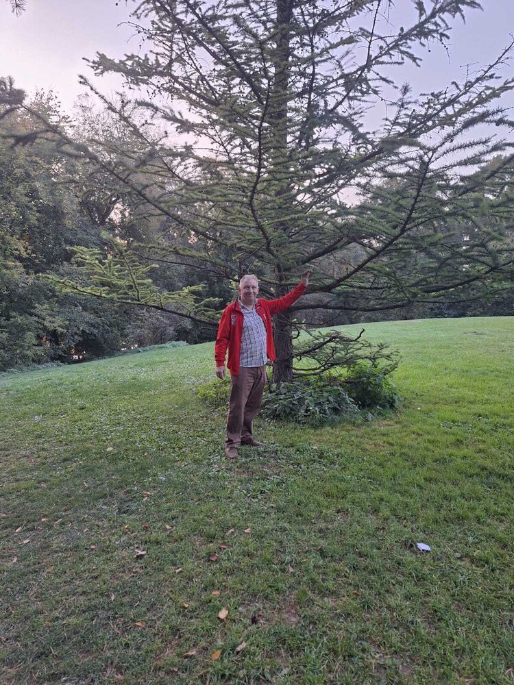 ���������� �������, ���� ������� ������, 55 ���, ������������ ��� ������, ����� � ���������