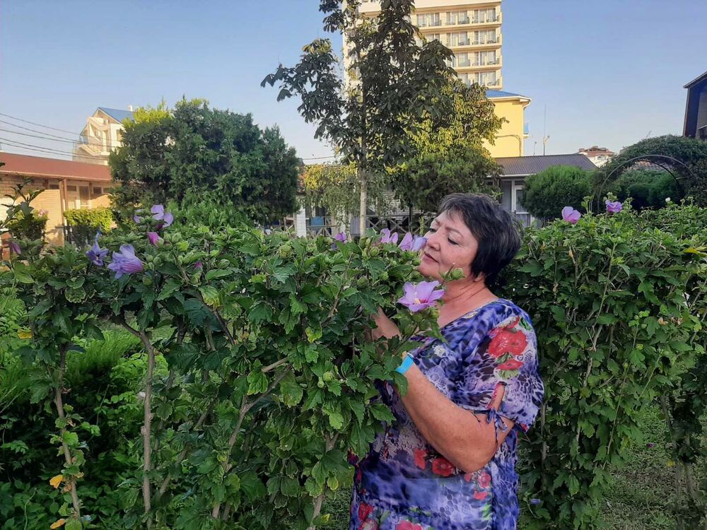 ���������� ���������, ���� ������� ����, 65 ���, ������������ ��� ������, ����� � ���������, c�������� ���������