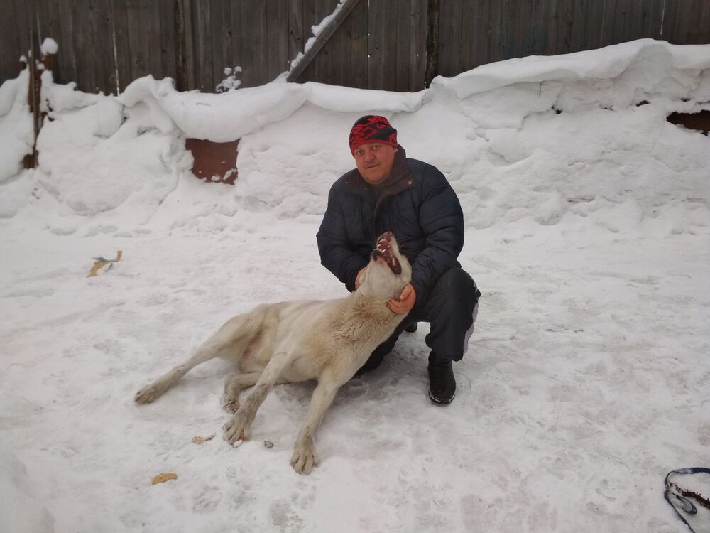 ���� 15179264 ������� �������, 46 ���, ���� ���������� � ������������