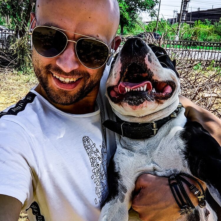 ���� 32304124 ������� �������, 34 ����, ���� ���������� � ����������