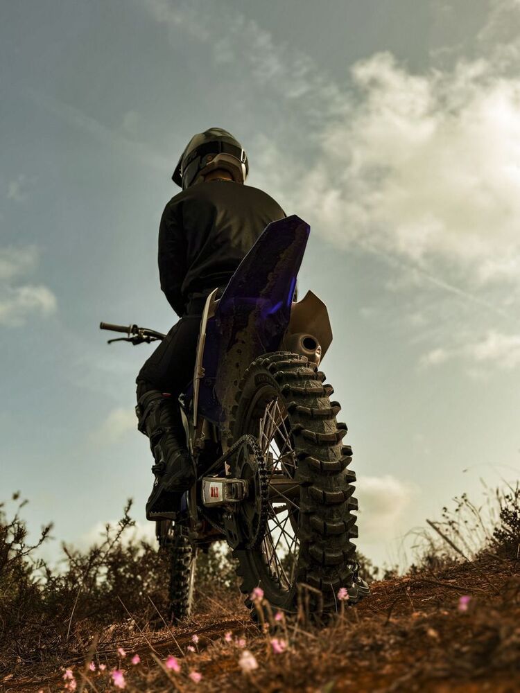 ���� 55604664 ������� ������, 31 ���, ���� ���������� � ������������