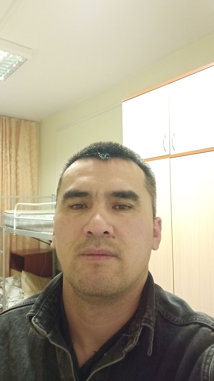  39605584  , 36 ,    