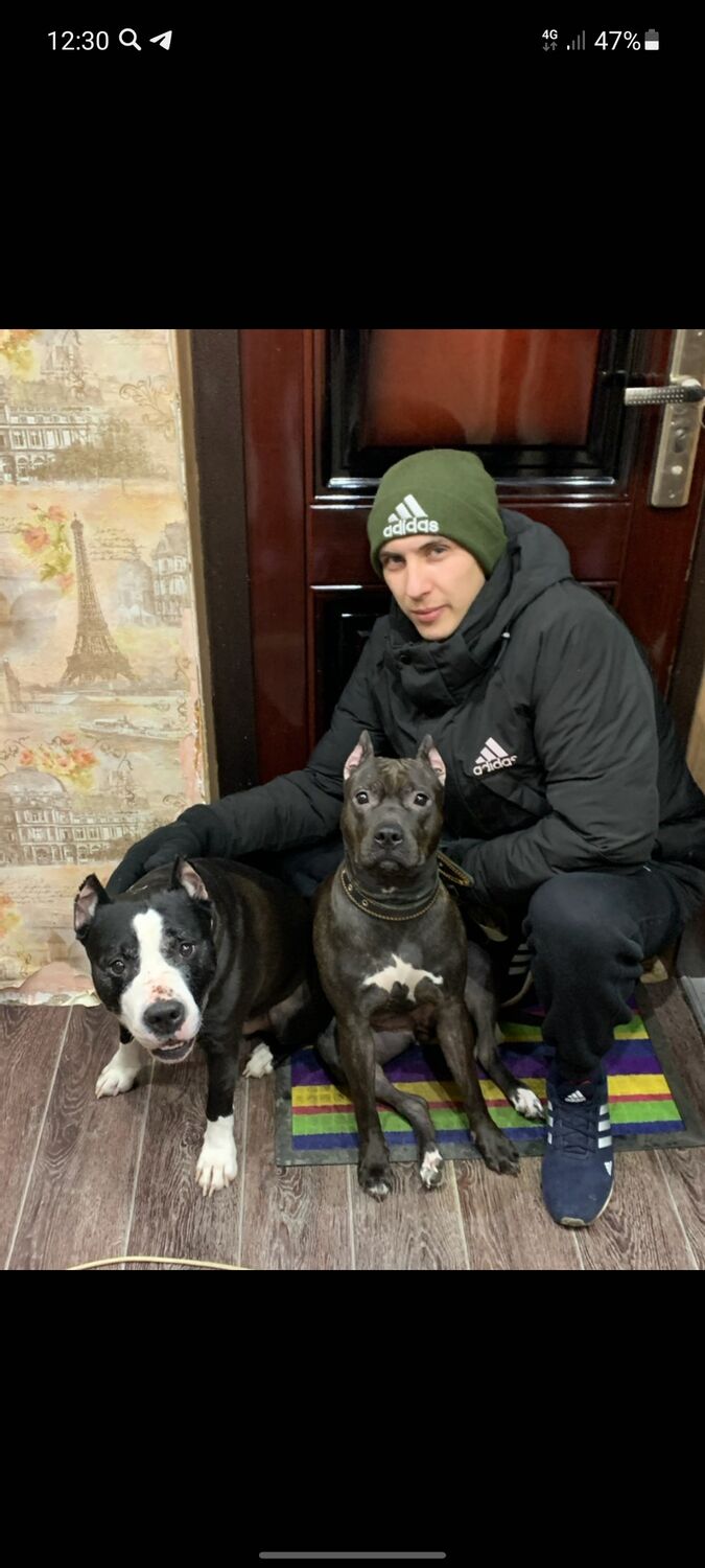 ���� 30918134 ������� ������, 30 ���, ���� ���������� � ���������