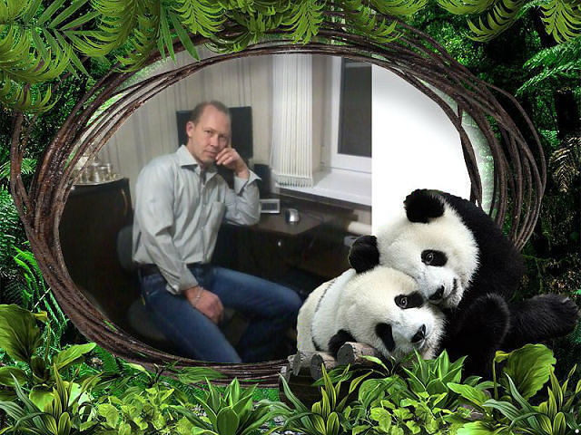   ,   , 51 ,   