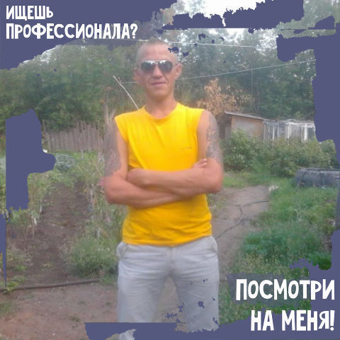  41585064  , 40 ,    