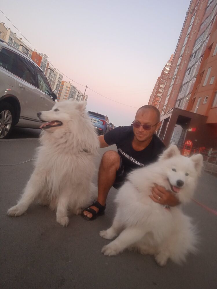 ���� 30336934 ������� �������, 43 ����, ���� ���������� � ����������