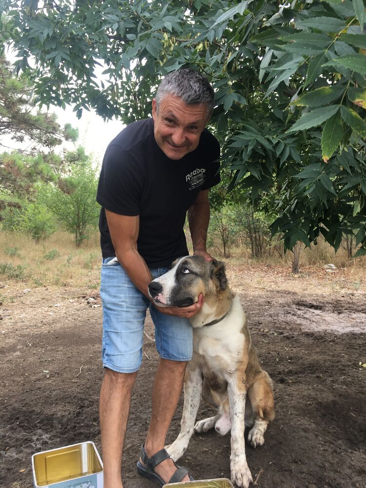 ���� 55067794 ������� ������, 47 ���, ���� ���������� � ������������