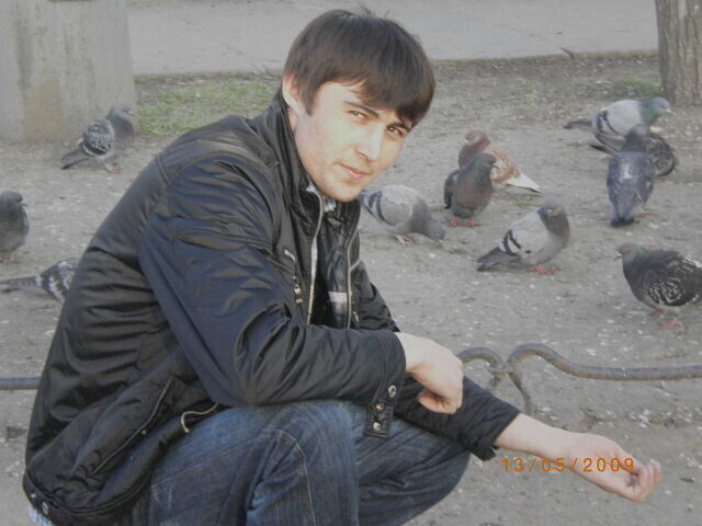 ���������� �������, ���� ������� HAMIDOV, 41 ���, ������������ ��� ������, ����� � ���������