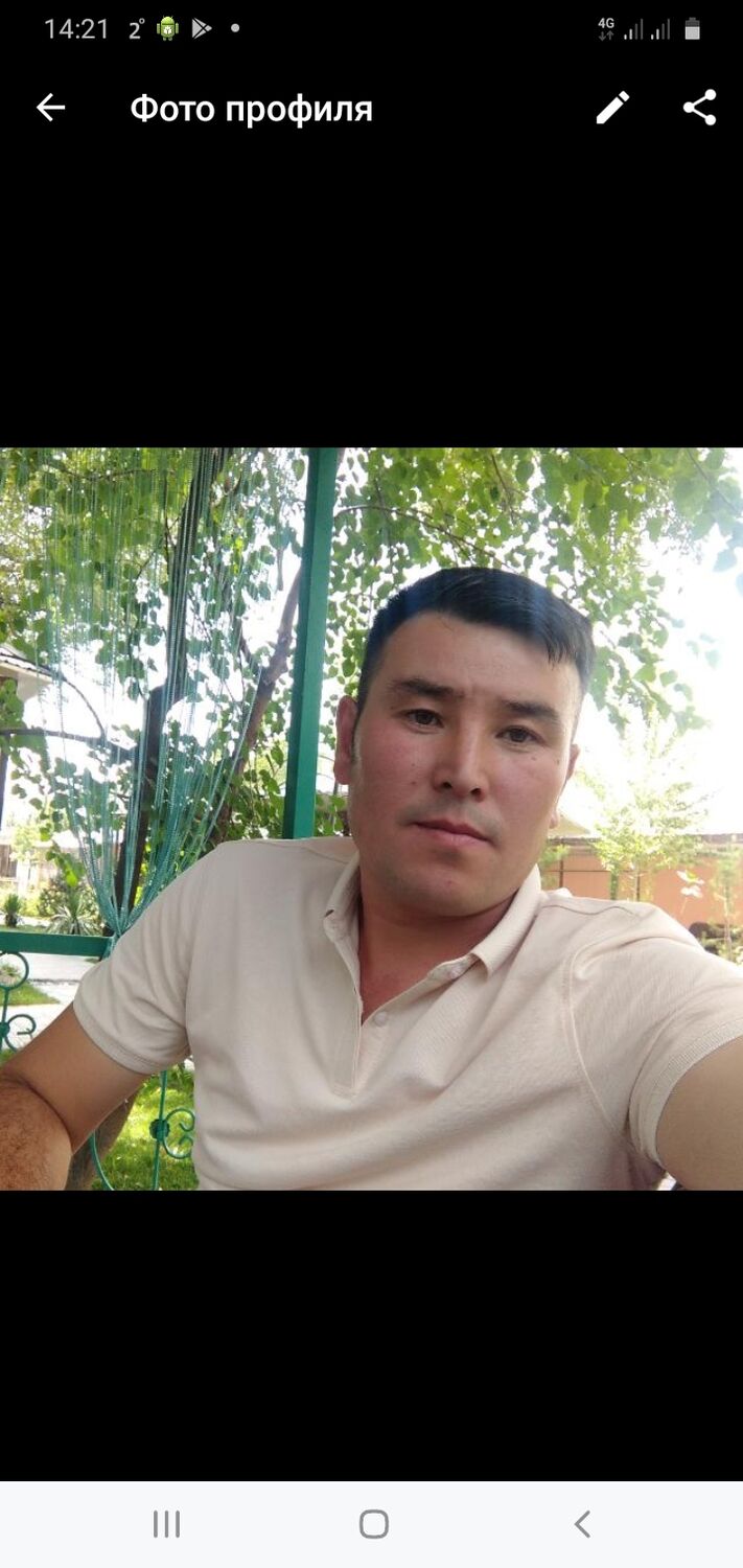 ���� 24911164 ������� ����, 39 ���, ���� ���������� � �������