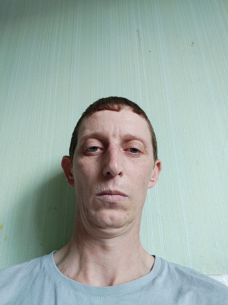  29452704  , 41 ,    