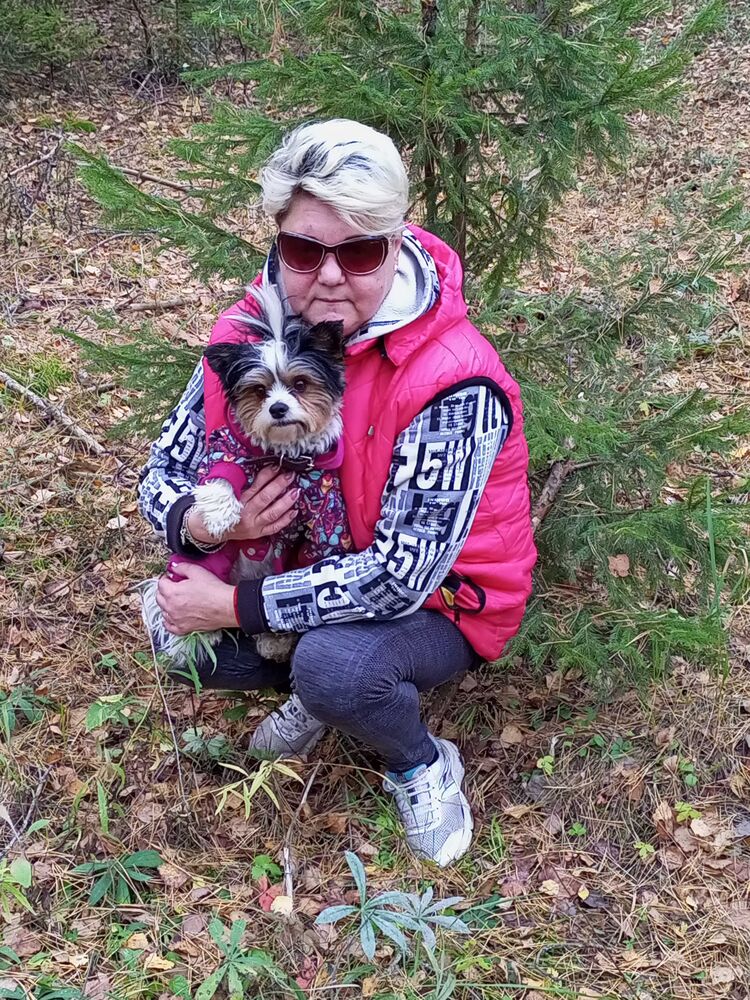  ,   , 53 ,     , 