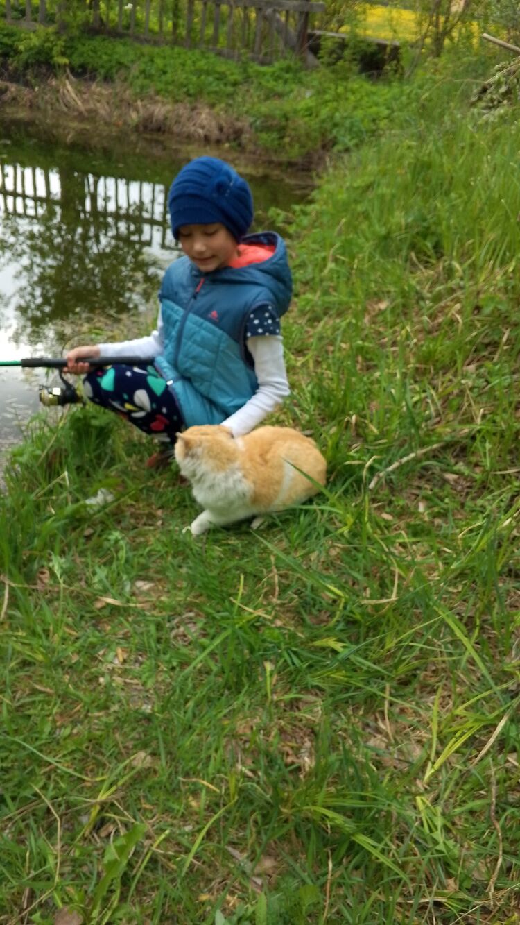 ���� 43602244 ������� �������, 41 ���, ���� ���������� � ���