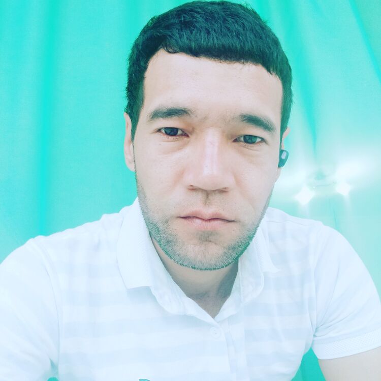 ���� 41521784 ������� ���, 33 ����, ���� ���������� � ������