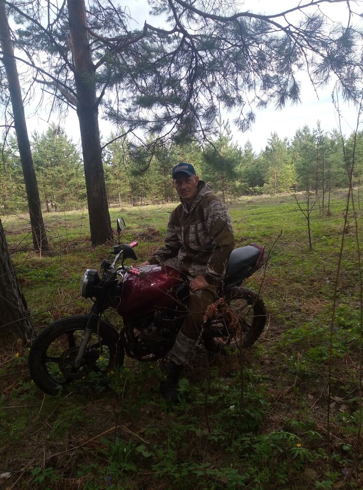 ���������� �������, ���� ������� �������, 38 ���, ������������ ��� ����� � ���������, c�������� ���������