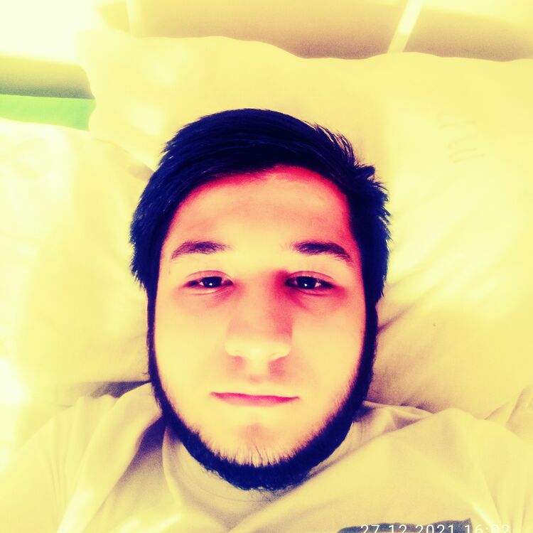 ���������� ���������, ���� ����� �����, 24 ����, ������������ ��� ������, ����� � ���������