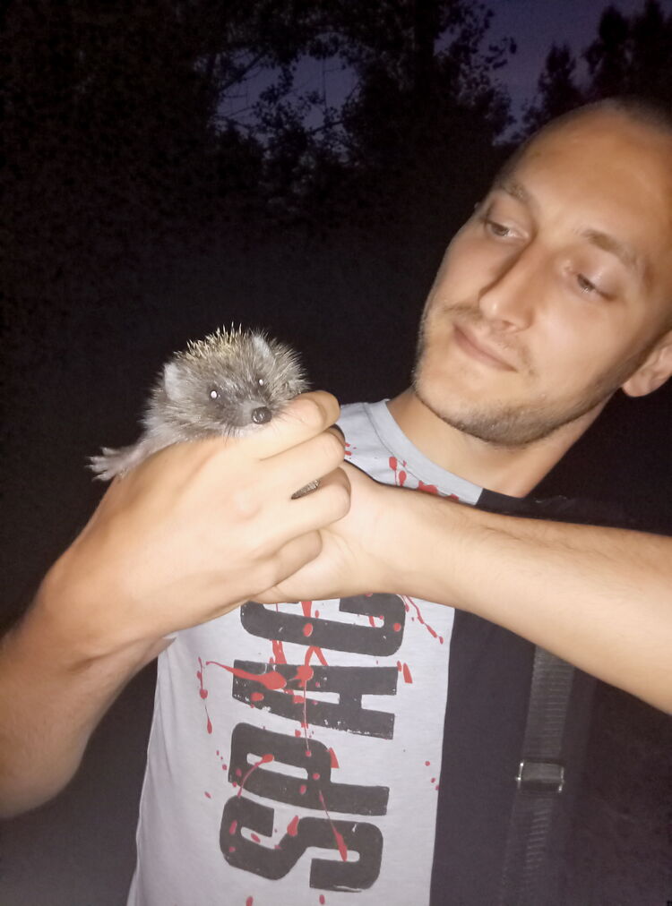 ���������� ������ ���, ���� ������� ������, 40 ���, ������������ ��� ������, ����� � ���������, c�������� ���������, ���������