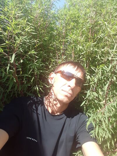  ,   , 50 ,  