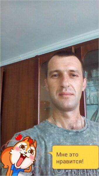  ,   , 41 ,   
