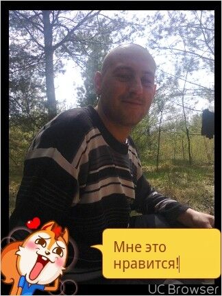  ,   STaFF, 37 ,   