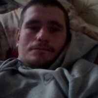  8488144  Vasa, 41 ,    
