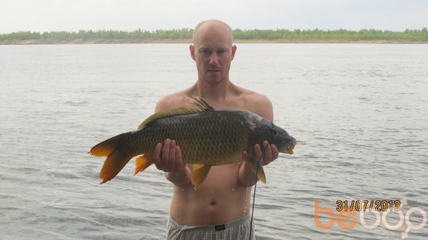 ���������� �����, ���� ������� ������, 46 ���, ������������ ��� ������