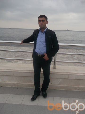  ,   Nebi, 41 ,   