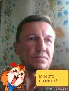  7532174  , 56 ,    -