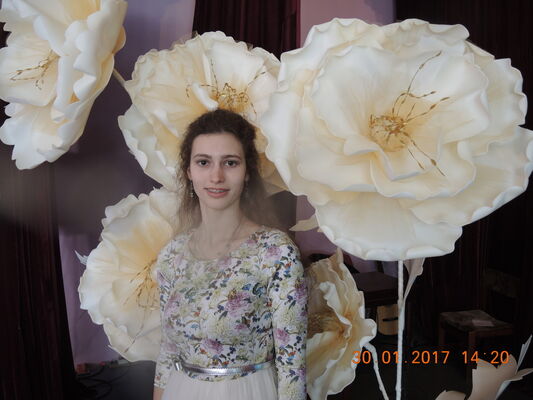  ,   , 27 ,     , c 