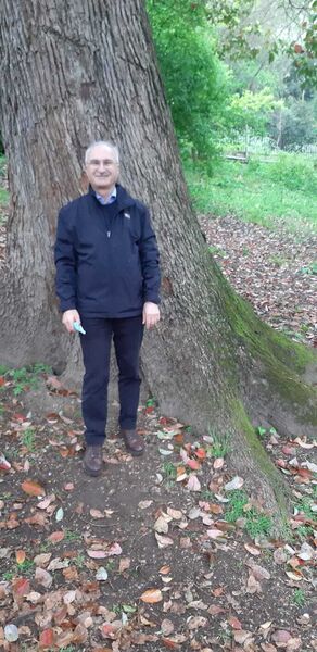  Rome,   Liviu, 65 ,   ,   