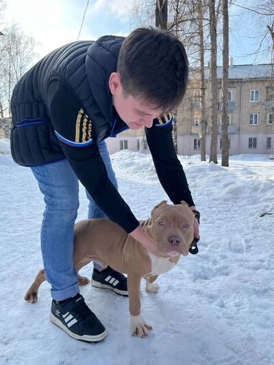  ,   Artem, 23 ,   ,   