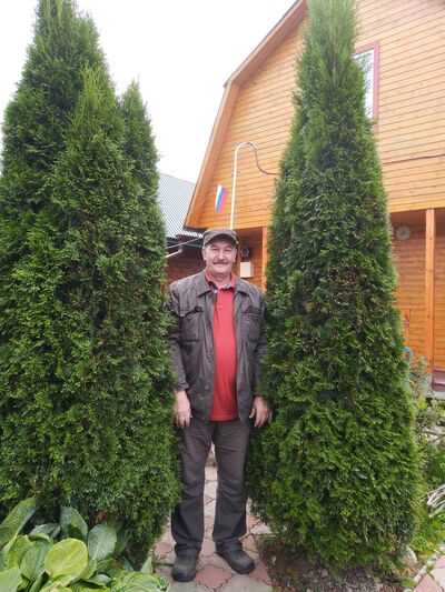  ,   , 65 ,   ,   