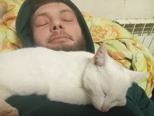  -,   Nikolay, 33 ,   ,   , c , 